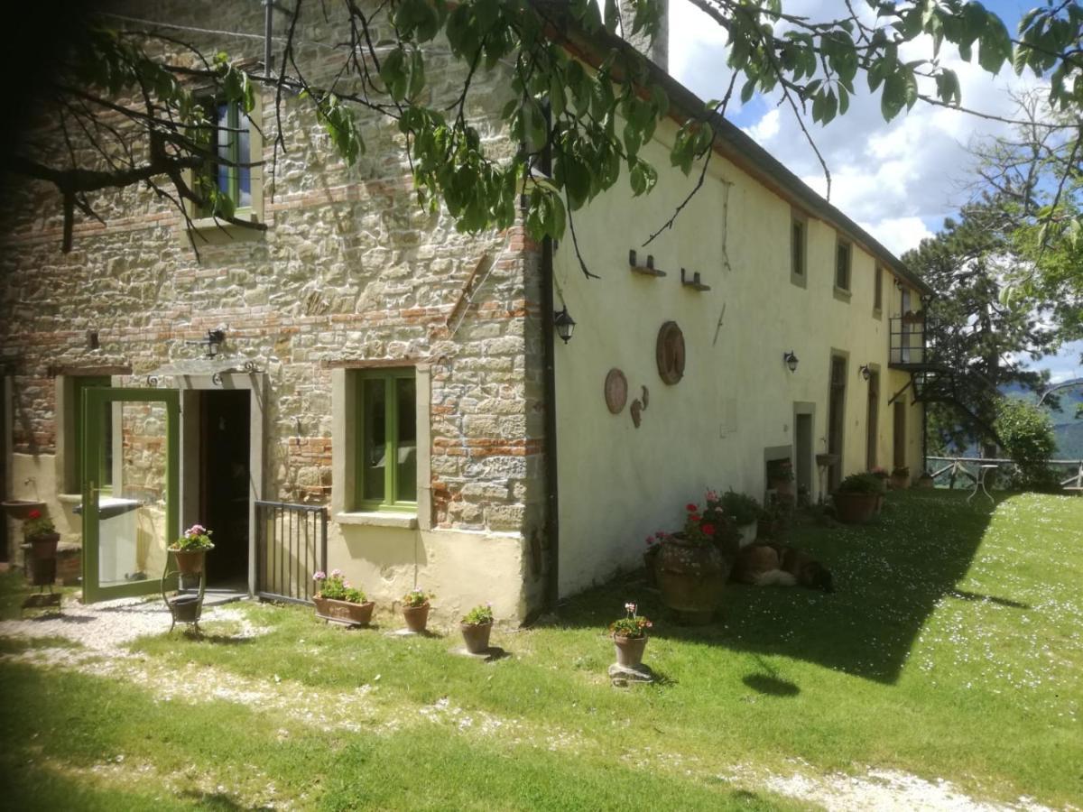 Podere Casone Sant'Adriano Luaran gambar